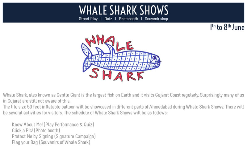 Whale Shark Show