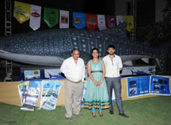 Whale Shark Show