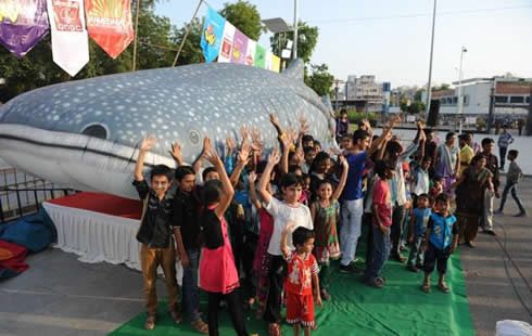 Whale Shark Show