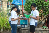 World Environment Day - 2011