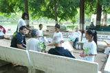 World Environment Day - 2011